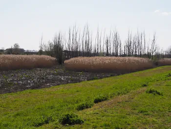 Kalkense Meersen (België)